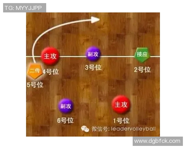 杭州排球队快攻战术解析与实战应用探讨