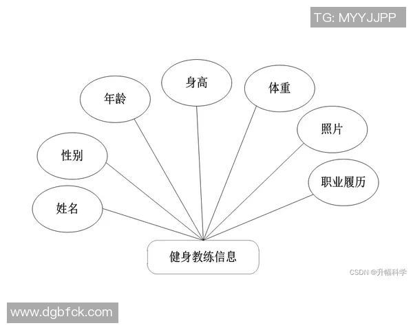 杭州飞盘队的战术解析与控制策略深度剖析