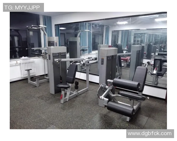 湖北健身器材厂的详细介绍与使用建议