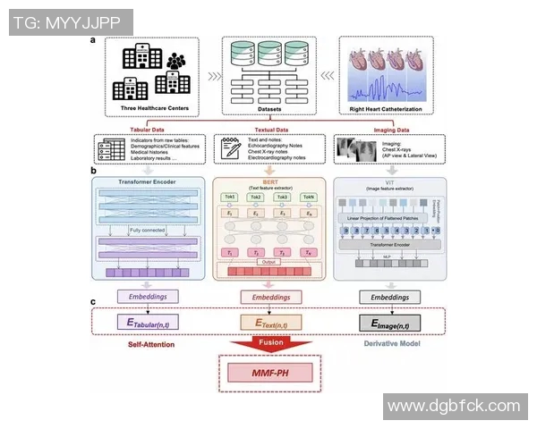 上海攀岩队节奏表现数据分析揭示训练效果与比赛成绩的关系