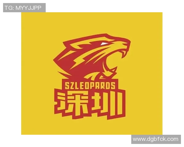 甘肃是否拥有CBA球队？区域体育资源盘点