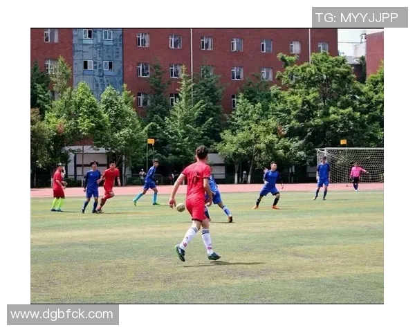 成都篮球队边路渗透战术解析与深度剖析